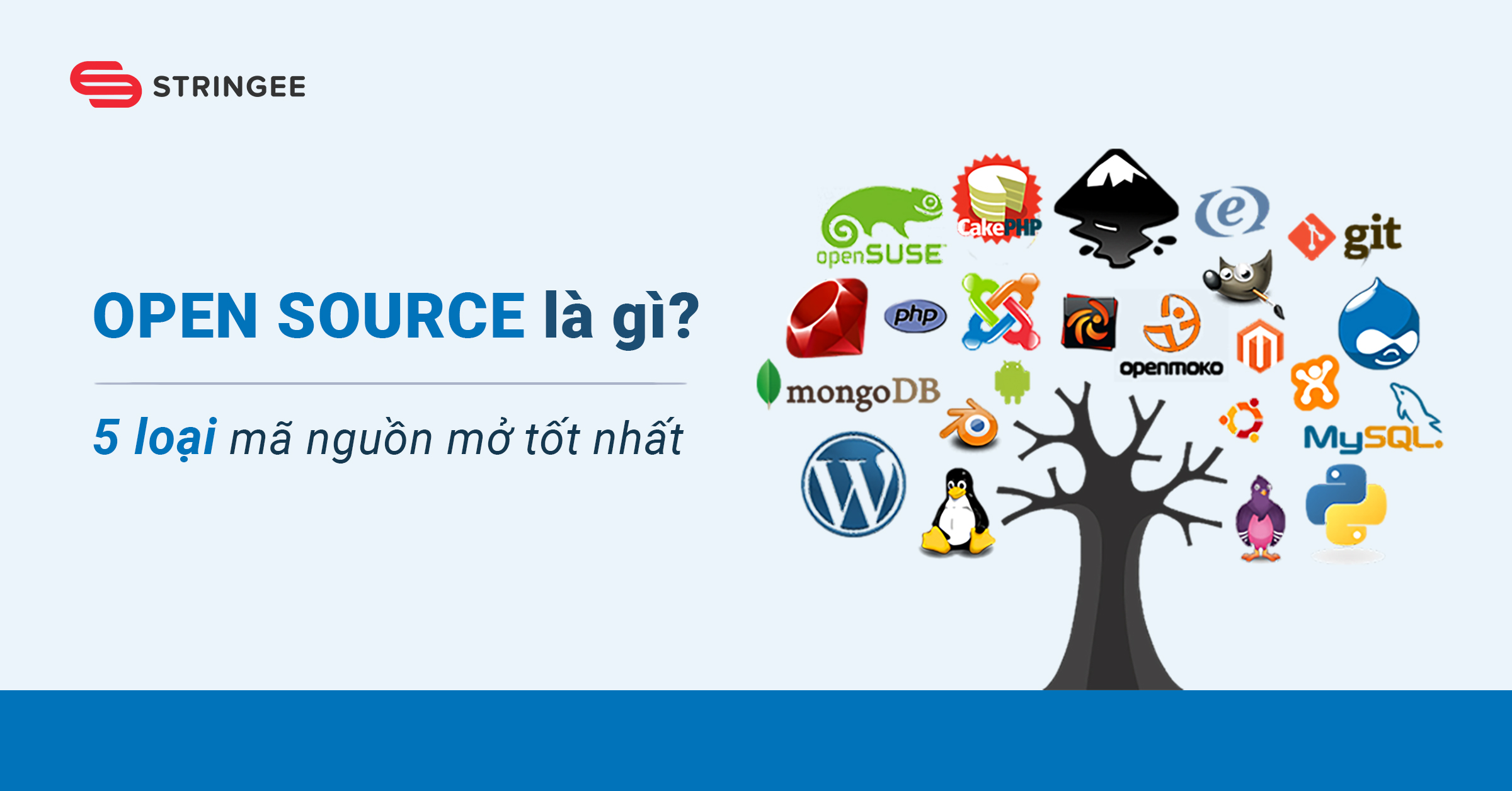 Open Source là gì? 5 loại mã nguồn mở tốt nhất