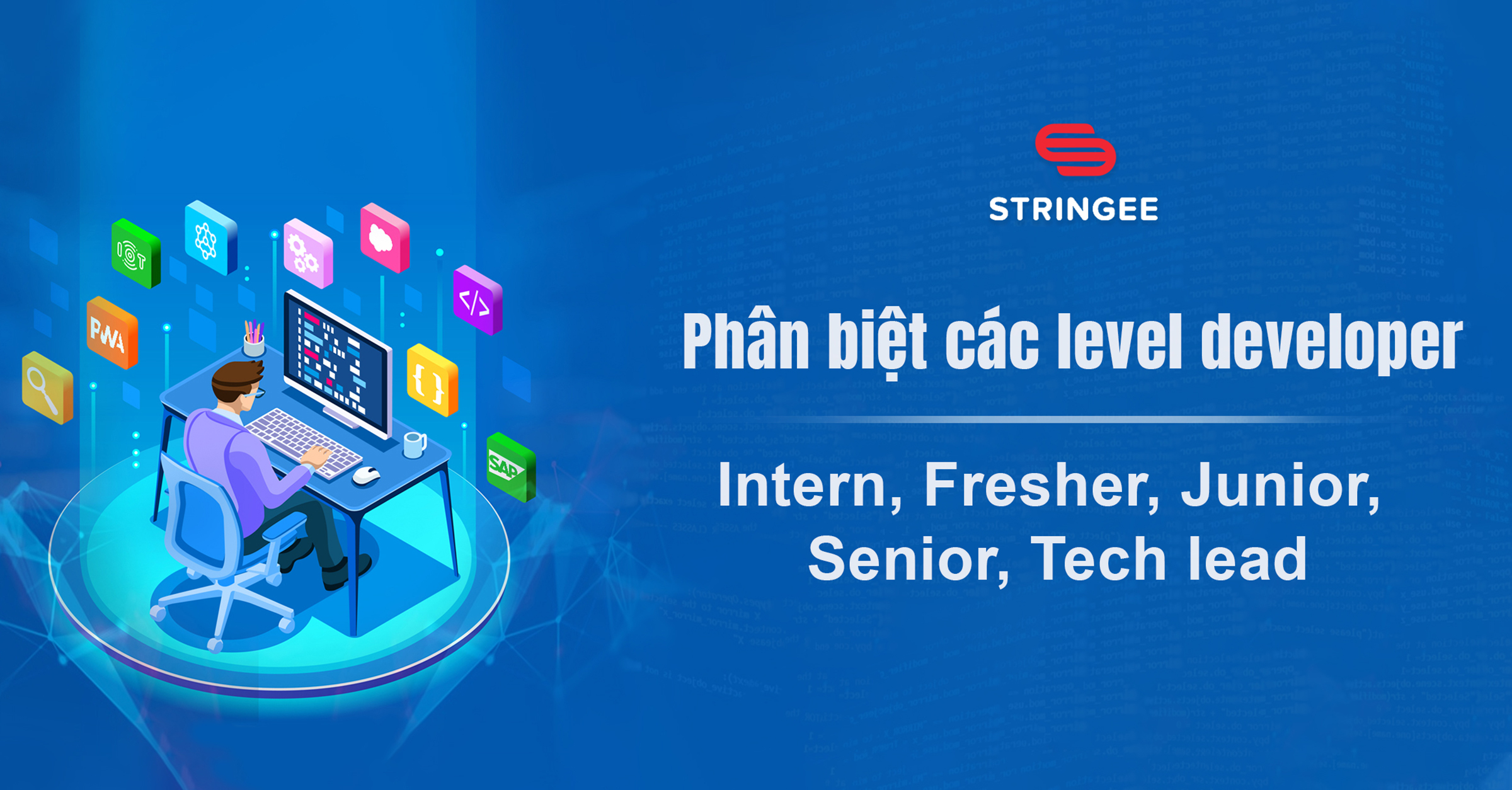 Phân biệt các level developer: Intern, Fresher, Junior, Senior, Team Lead